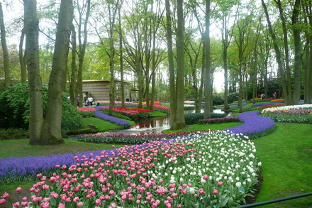 keukenhof gardens tour belgium nature sightseeing brussels